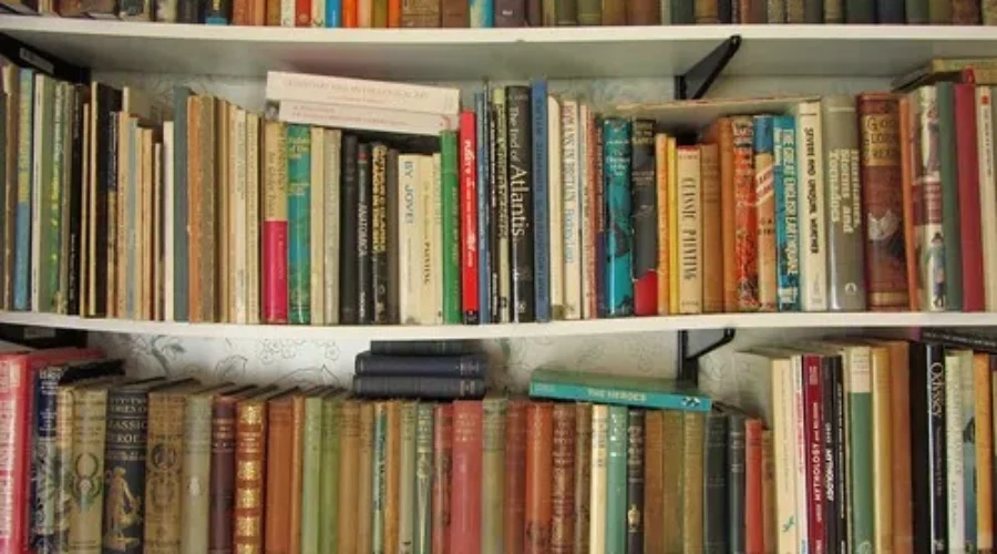 Library Usage Spikes In Southern New Brunswick