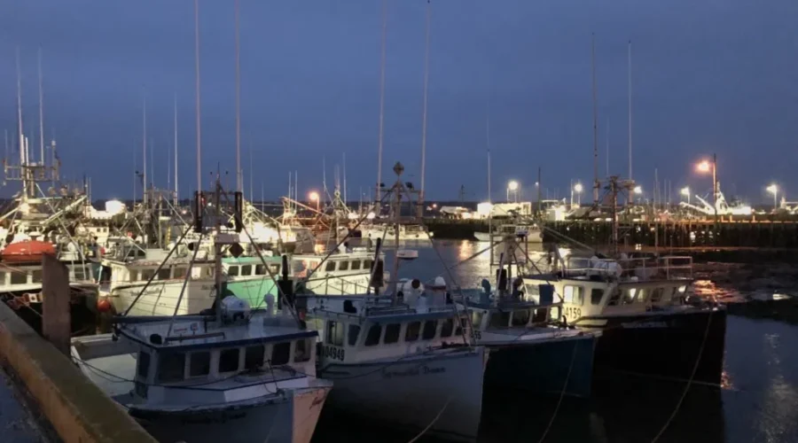 Fisheries Minister Says ‘Moderate Livelihood’ Being Defined