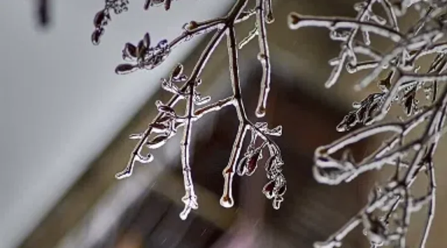 Forecast Shows Freezing Rain, Ice Pellets