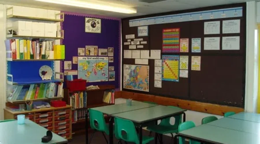 More Consultations On Education Green Paper