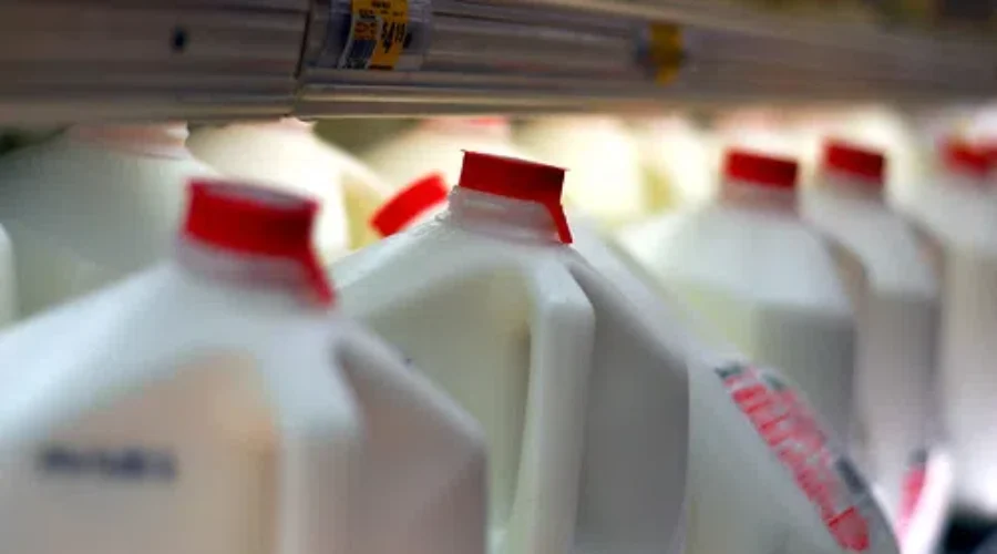 UPDATE: Minister ‘Saddened’ By Dairy Plant Closure