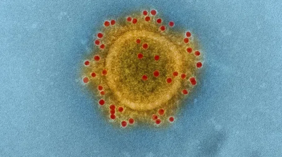 Canadian Cruise Passengers Affected By Coronavirus Being Monitored
