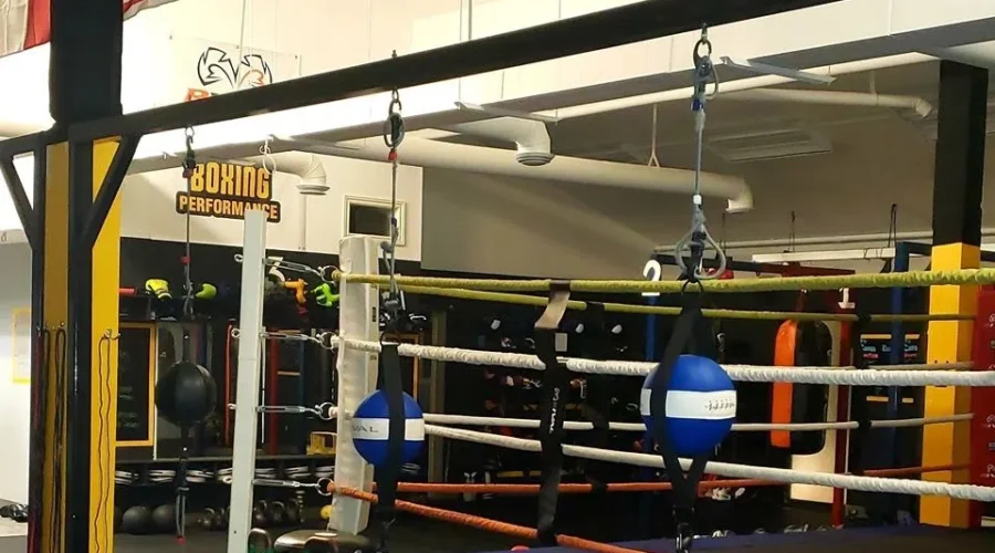 Boxer Dropped From Roster Over Viral Video