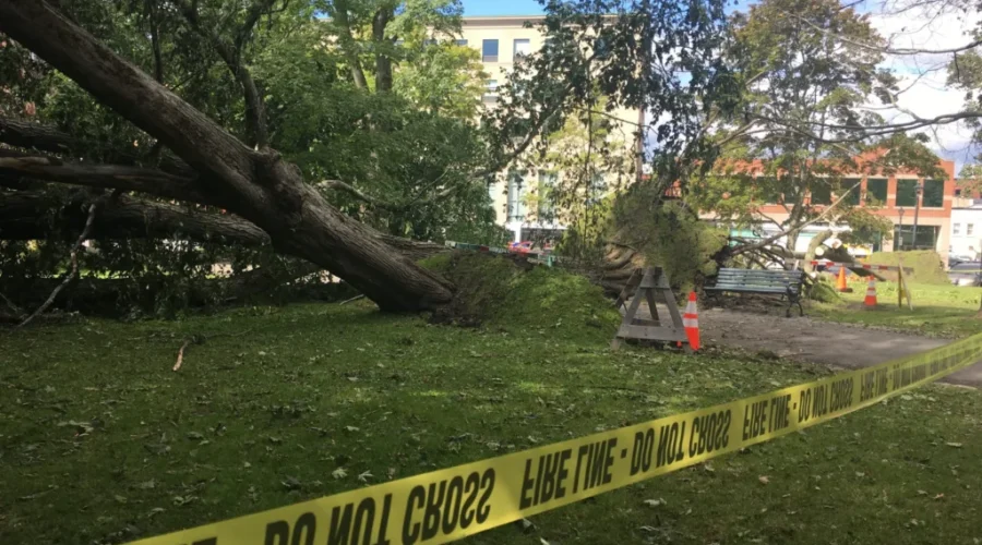 Financial Help For Hurricane Dorian Damage