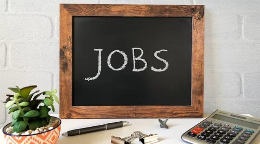 Unemployment Rate Falls In N.B.