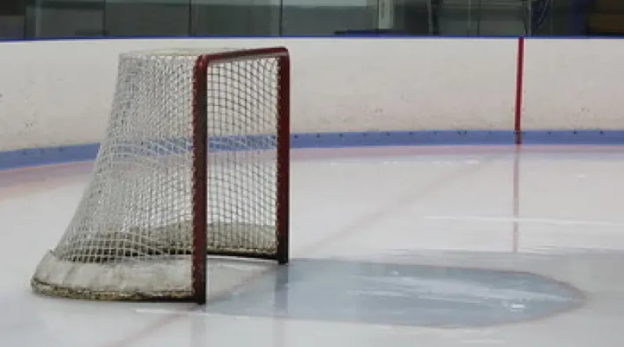 Several Sports Leagues Suspend Seasons Over COVID-19 Concerns