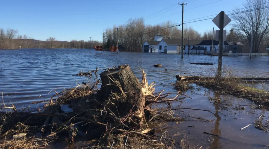 N.B. Begins Monitoring Water Levels