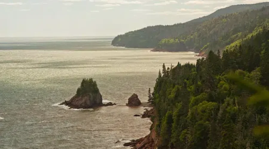 National Parks To Open In June