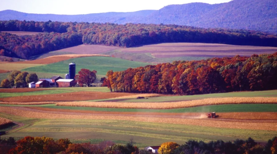 Farmers Union Opposing Ban On Temporary Foreign Workers