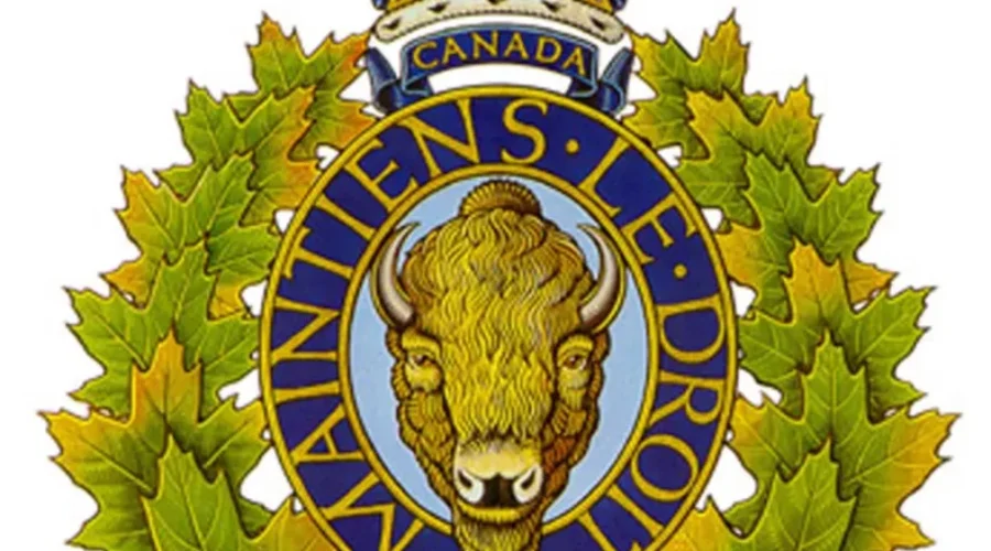 Woman Killed When Vehicle Hits Moose