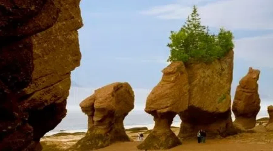 Tourism Industry Missing Out-Of-Province Visitors