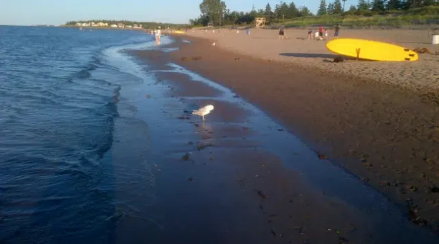 N.B. Beaches, Marina Receive Blue Flag Recognition