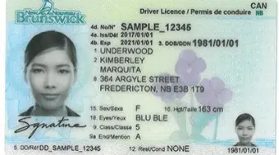 Expired Documents Should Be Renewed