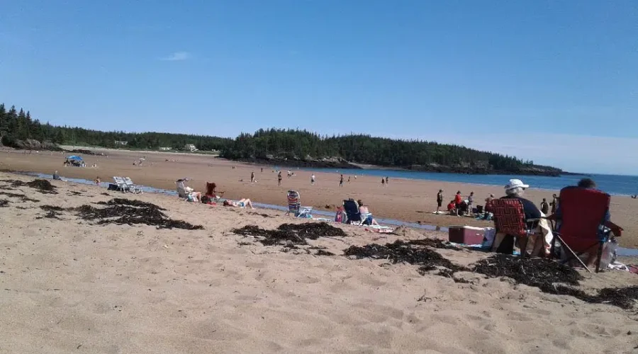 New River Beach Cleared For Swimming