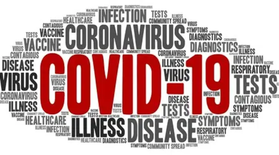 N.B.’ers Can Request COVID-19 Tests Online