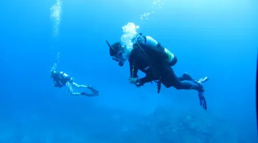 Diver Exercises Near Mill Cove Area Of Grand Lake