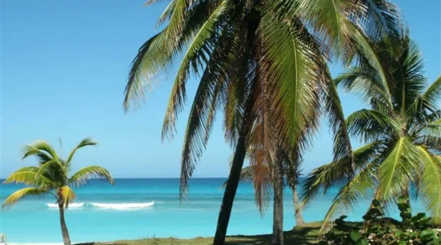 Travellers Cancelling Winter Trips Amid COVID-19