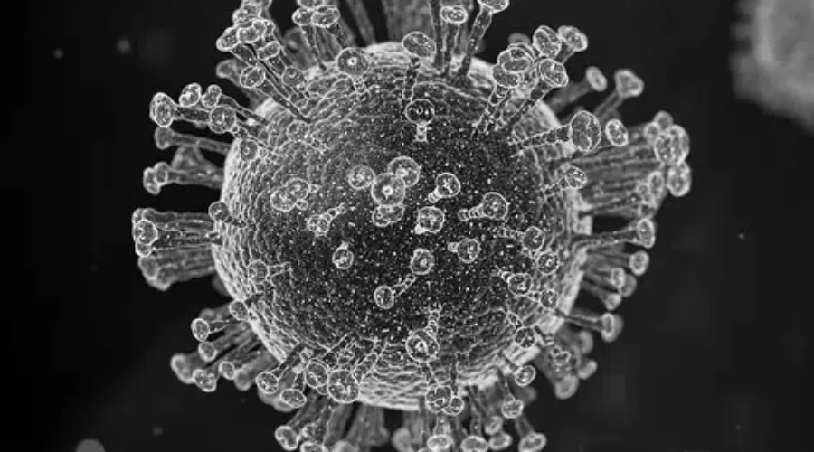 Nine New COVID-19 Cases In N.B.
