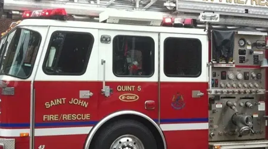 Saint John firefighters help dog return to safety