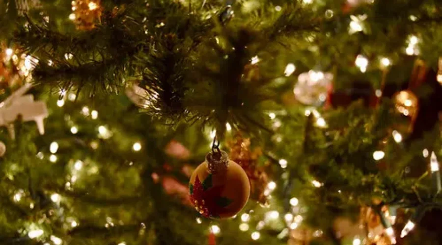 Canadians Expected To Spend Less This Holiday Season