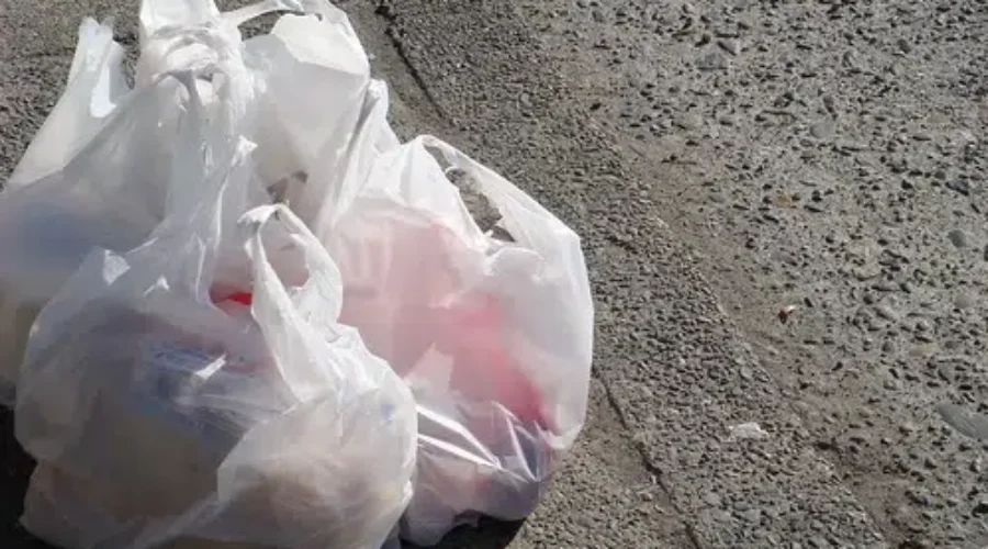 Retail Council Asks City To Delay Plastic Bag Ban