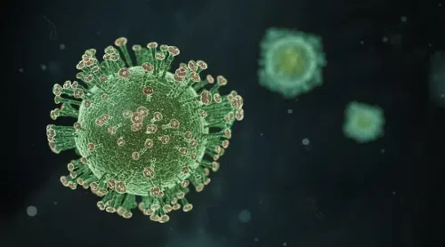 Public Health Reveals One Death, 19 New COVID-19 Cases