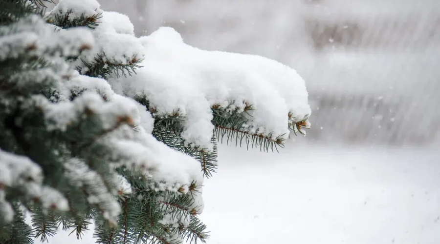 UPDATED: Snow, Strong Winds Expected Sunday Night