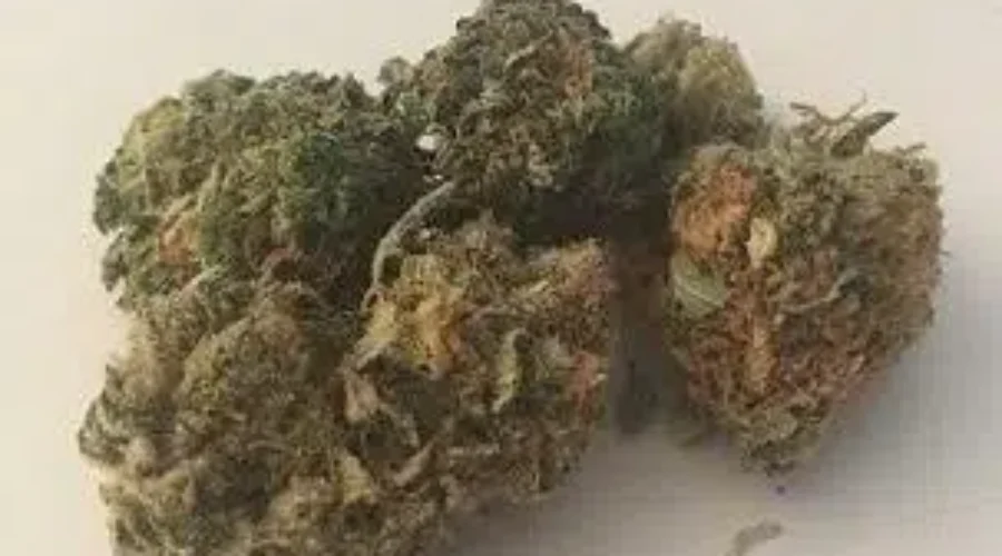 Public Health Officer Warns Of Laced Cannabis