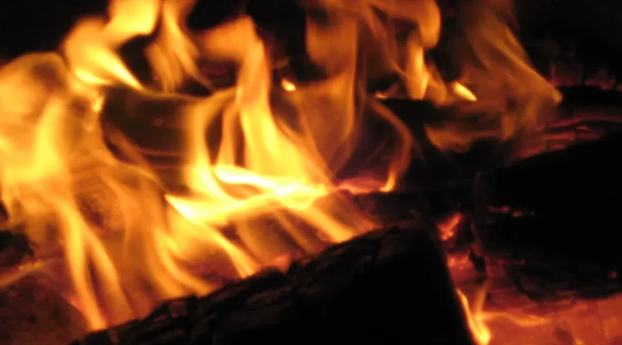 Bayside House Fire Claims Family Dog