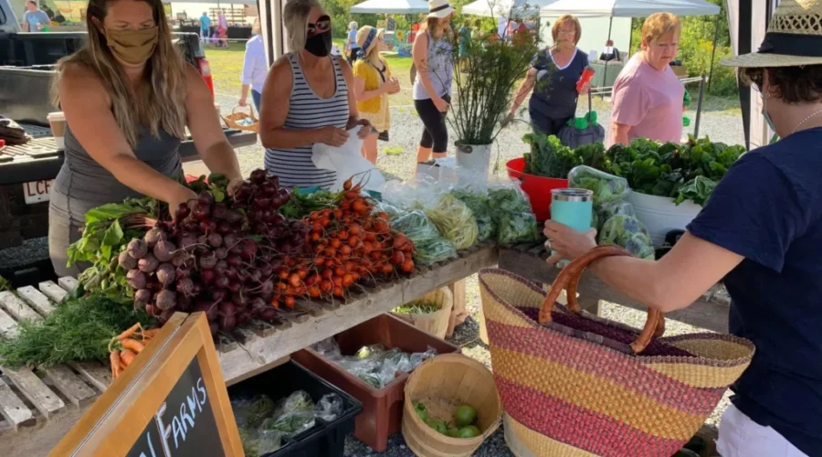 Kingston Farmer’s Market Opens