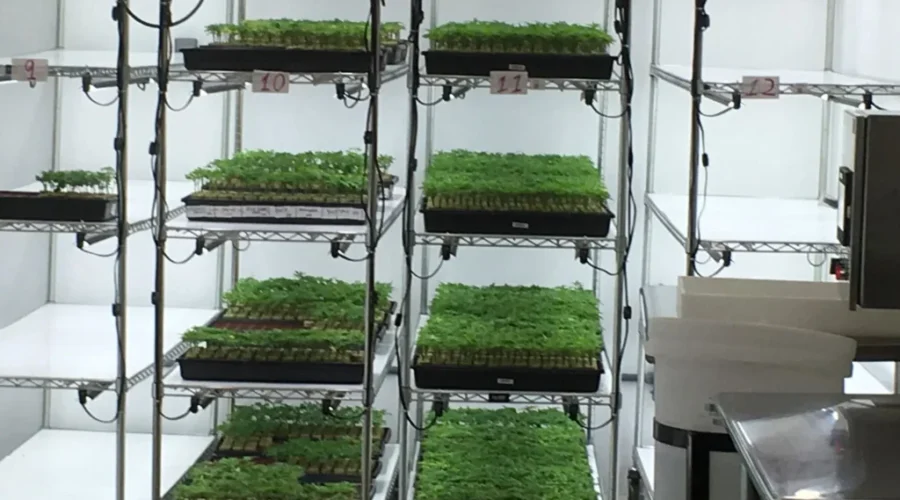 Organigram Acquires Quebec Hash Producer In $36M Deal