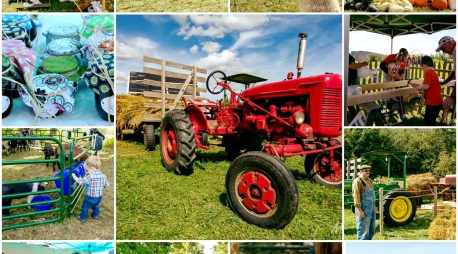 Bert Deveau talks with Mark Downey about the Charlotte County Fall Fair