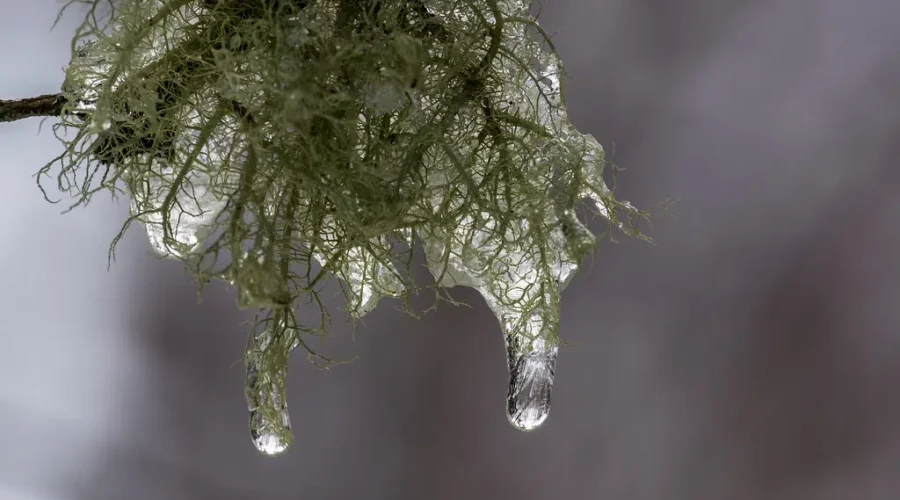 Mix Of Precipitation Predicted In Latest Storm System