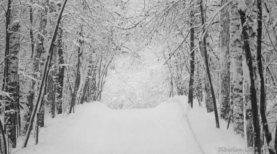 A Cold Christmas For 2021, Not A White One