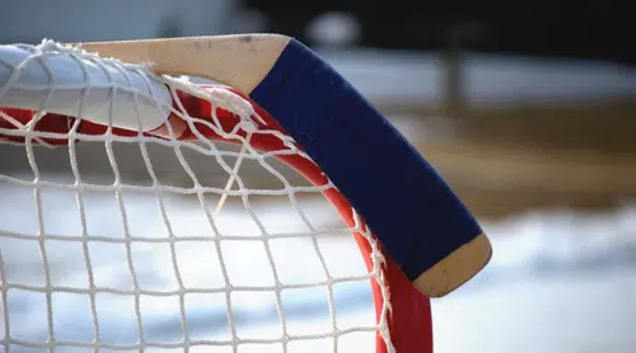 Rogers Hometown Hockey Heading To Saint John