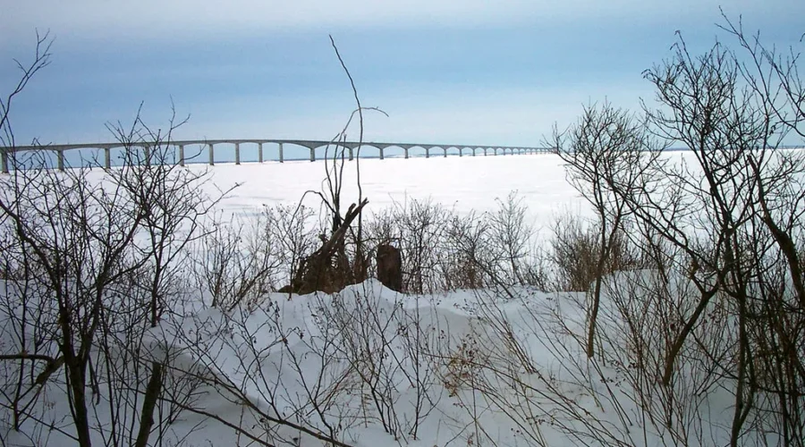 Motorists Lineup To Cross Confederation Bridge