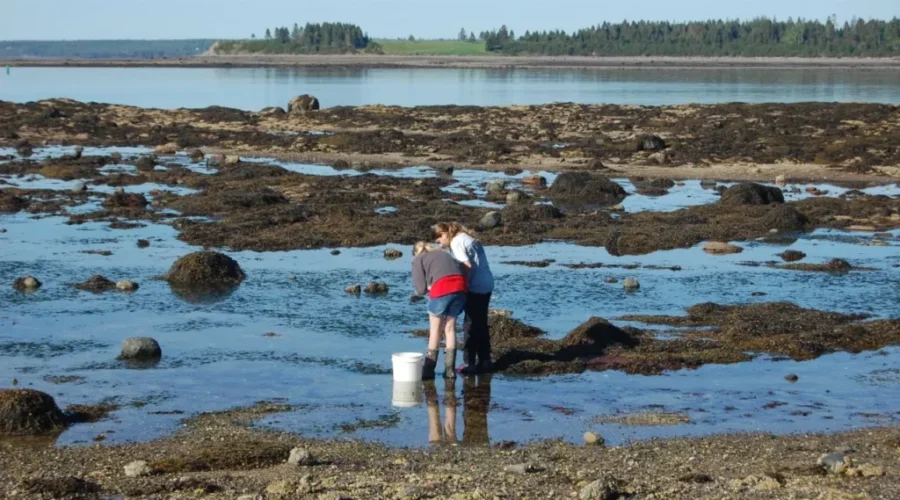 S.T.E.A.M. Nudges Teens Towards Ocean Economy