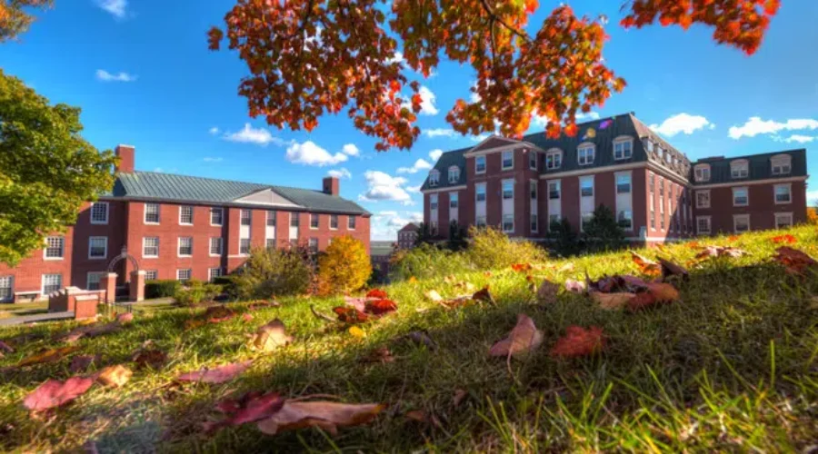 Remote Classes At Some N.B. Universities To Start 2022