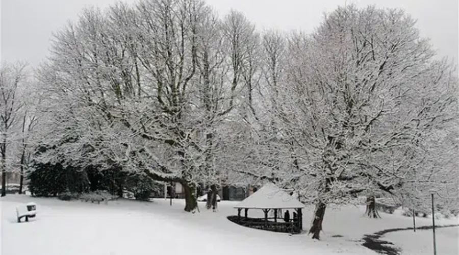 UPDATED: Winter Storm Warning For Parts Of N.B.