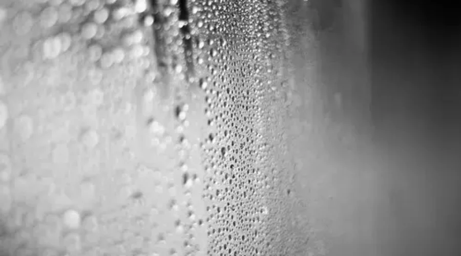 Rainfall Warning For Saint John, Grand Manan