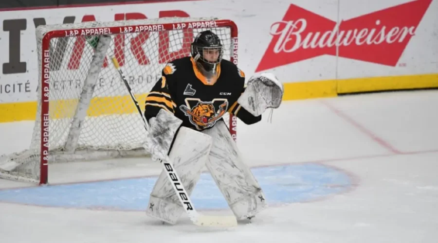 Sea Dogs Complete Several Trades