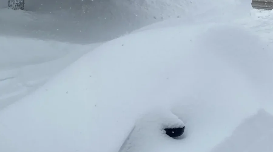 Another Winter Storm Blankets Southern NB