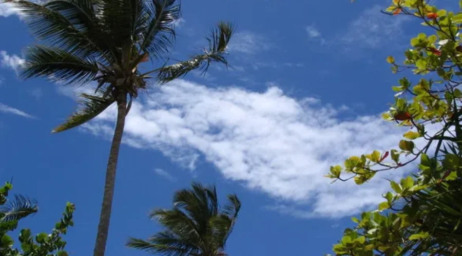 Travel Demand Jumps As Feds Relax Restrictions