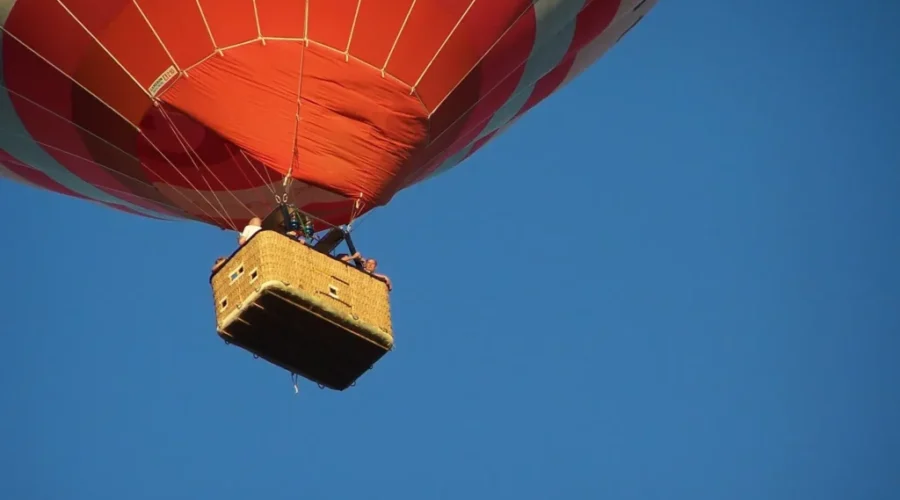 Sussex Festival Making Its Return Flight In September