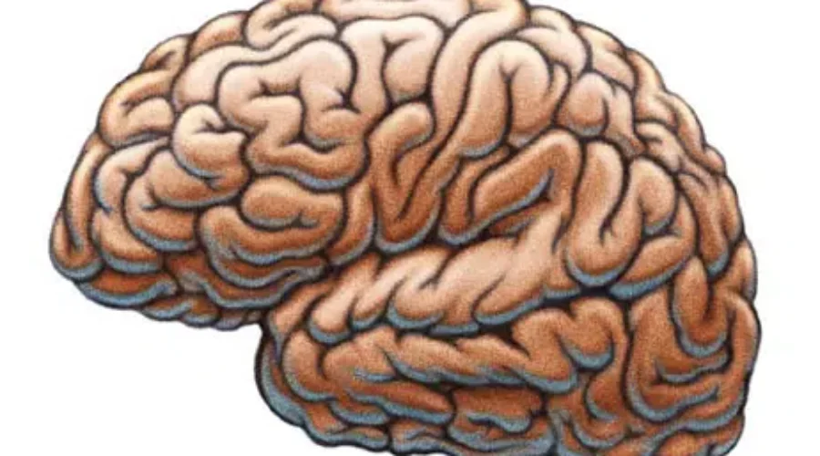 Professor Conducting Study Into ‘Mystery Brain Illness’