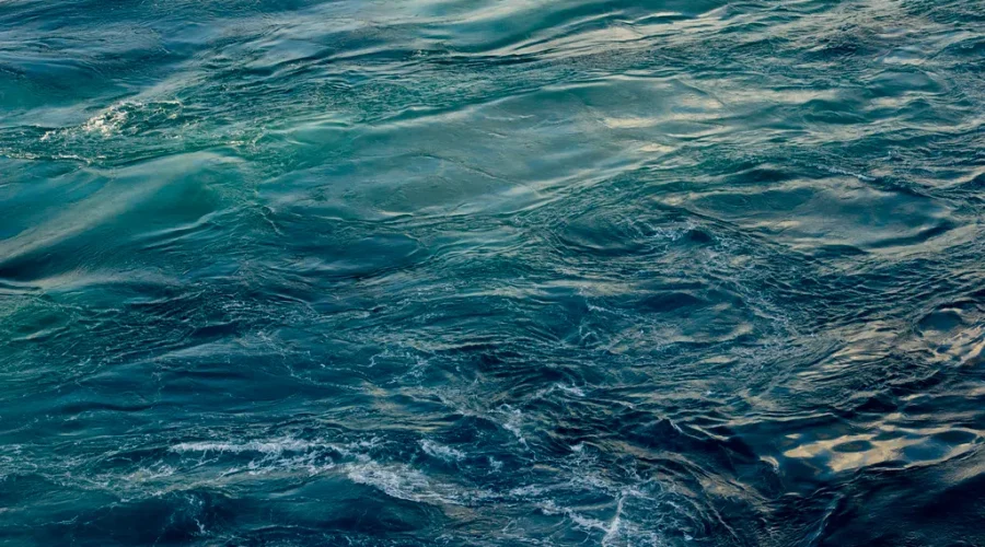 Snow Crab Allowable Catch Increases For 2022