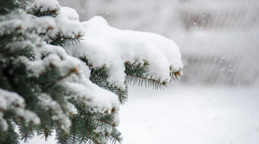Slick Roads Reported In Places