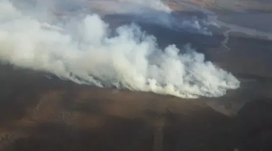 Forest Fire Season Officially Underway In N.B.