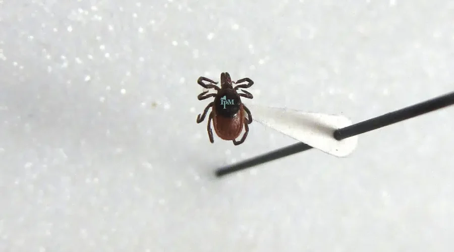 Expert Says Educate Yourself About Ticks