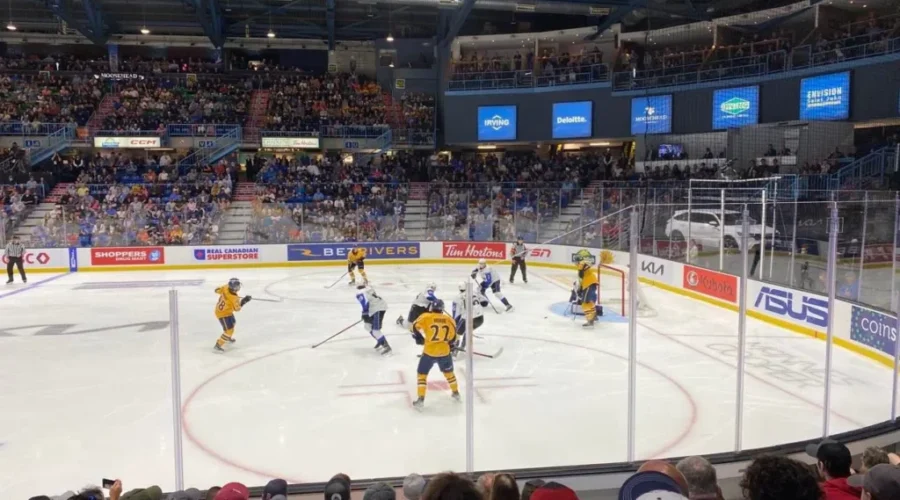 Memorial Cup Buzz Brings Excitement To Saint John